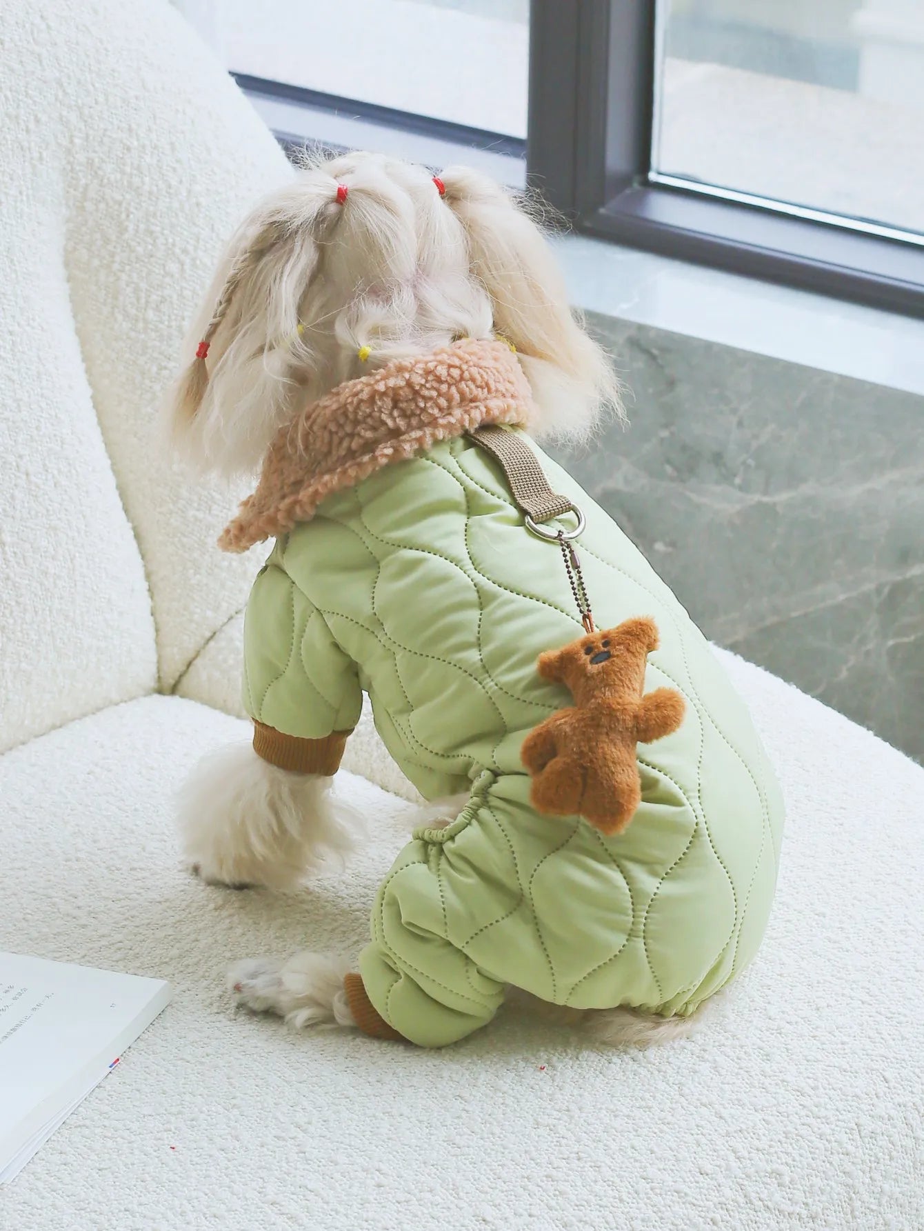Adorable dog in light green cute dog pajamas with plush accessory for cozy wear