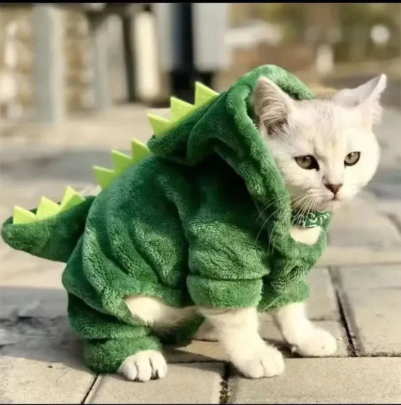 Cute white cat wearing a green pet dinosaur costume for cats and small dogs with spikes on the back