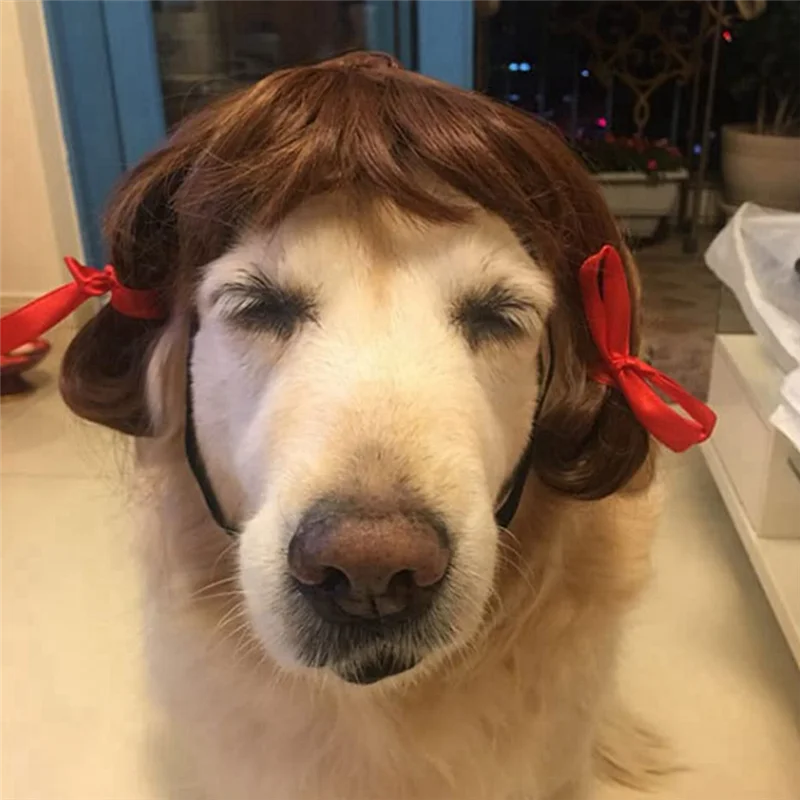 Golden Retriever wearing a pet wig for Christmas holiday with red bows for festive cheer