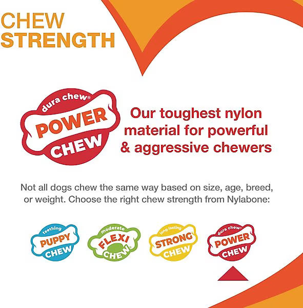 Nylabone Power Chew Donut 70th Birthday Dog Toy, Orange Pumpkin & Peanut Butter, Large