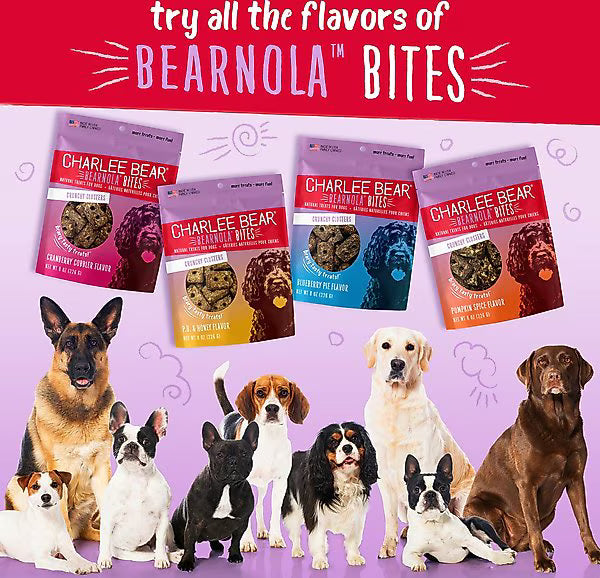 Charlee Bear Bearnola Bites Pumpkin Spice Flavor Dog Treats, 8-oz bag