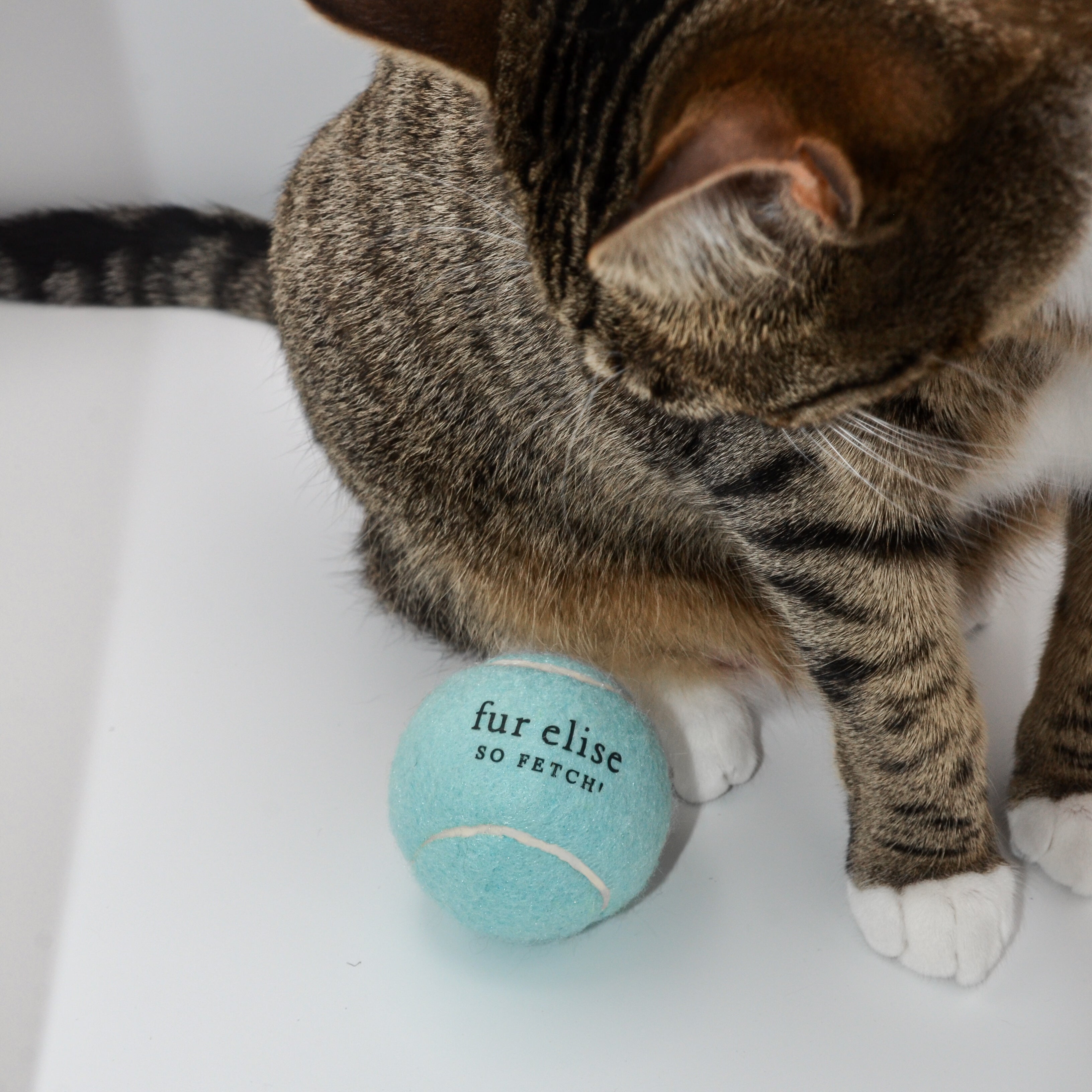 So Fetch! Tennis Ball - Cloud