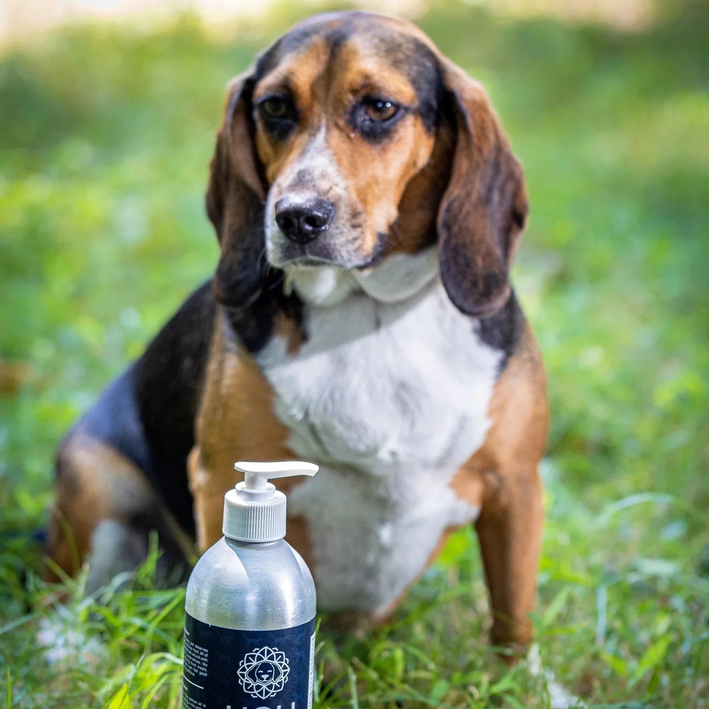 Holi Dog & Cat Icelandic Salmon Oil 16oz.