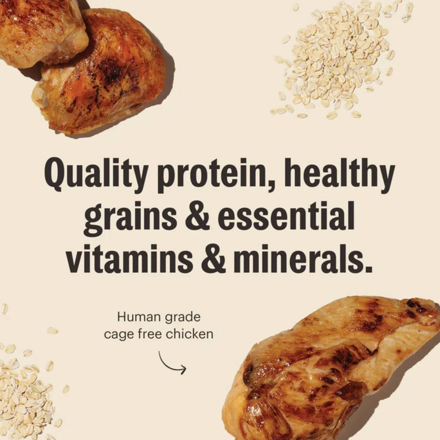 The Honest Kitchen Dog Essential Clusters Chicken & Oat 20lbs.