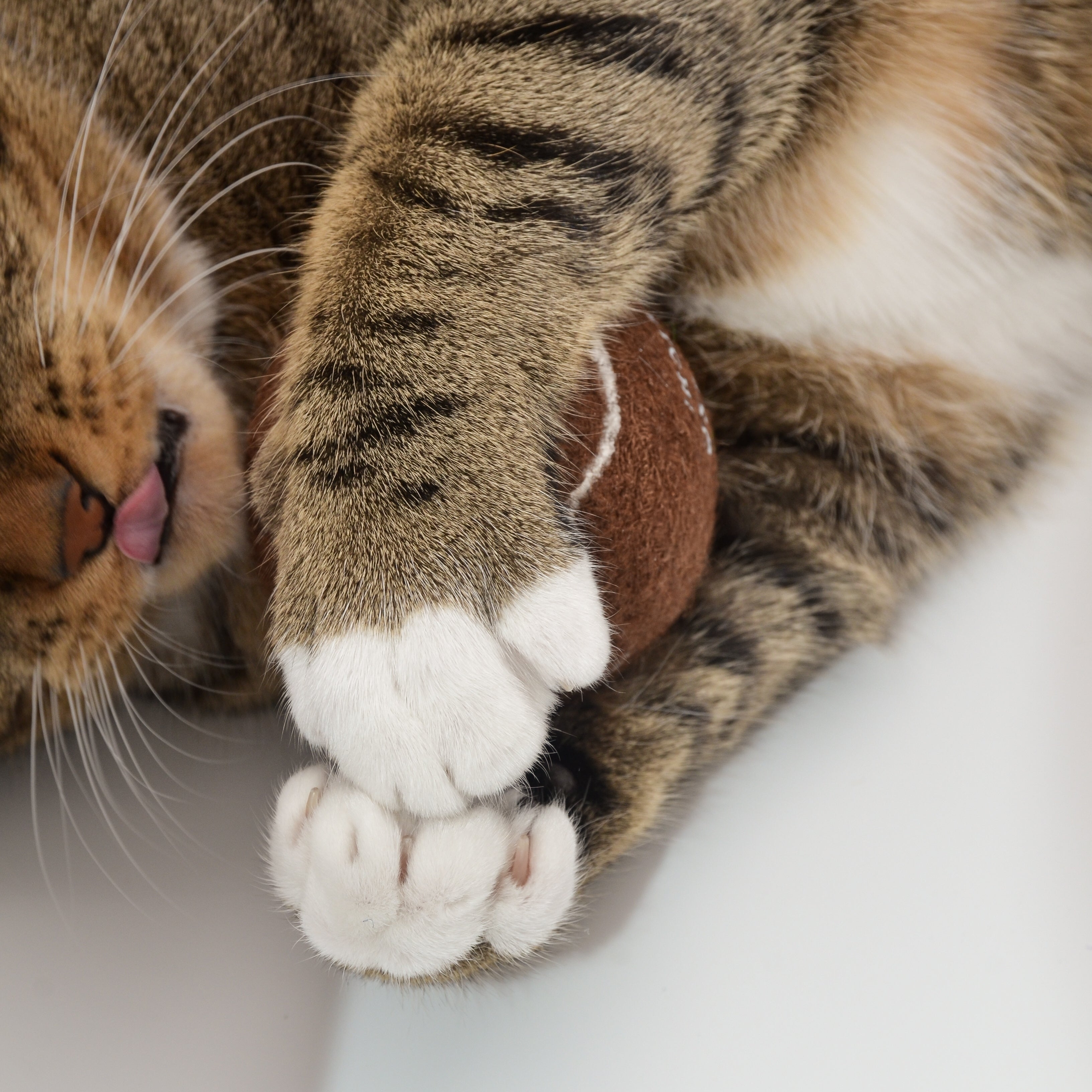 So Fetch! Tennis Ball - Brune