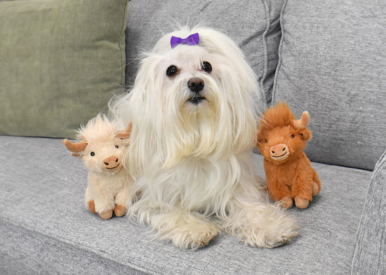 Multipet Highland Cow 5"