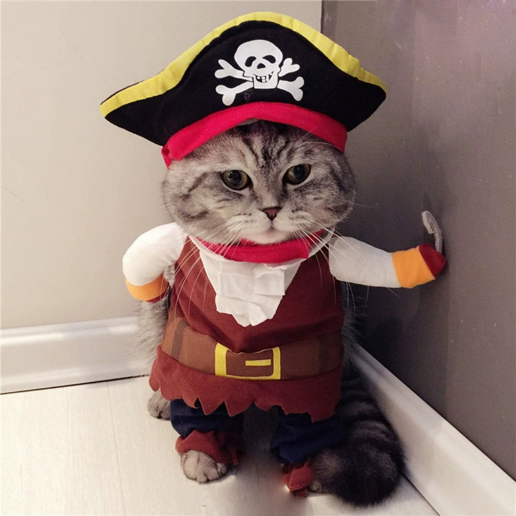 TikTok Trending Pet Outfits