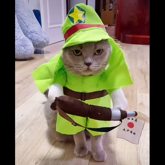TikTok Trending Pet Outfits