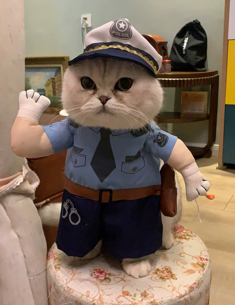 TikTok Trending Pet Outfits