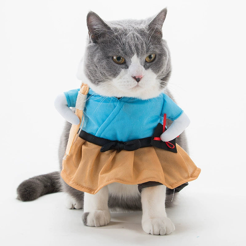 TikTok Trending Pet Outfits