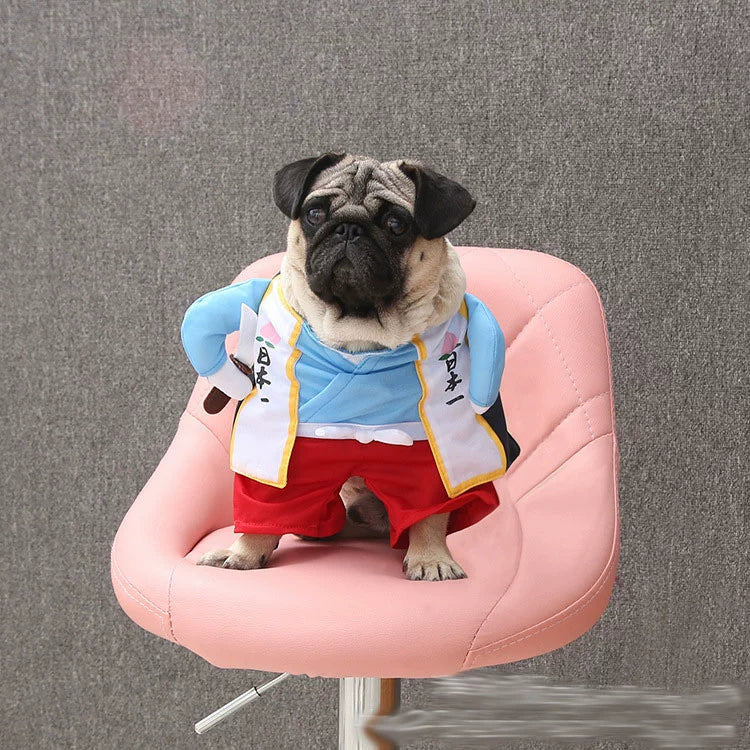 TikTok Trending Pet Outfits