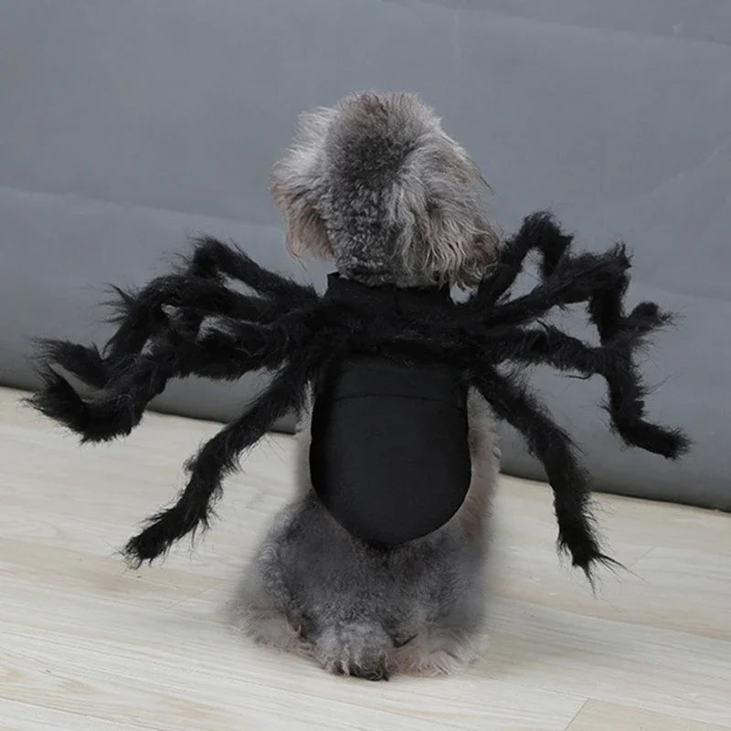 Adorable spider costume for dogs and cats featuring furry black legs for Halloween festivities