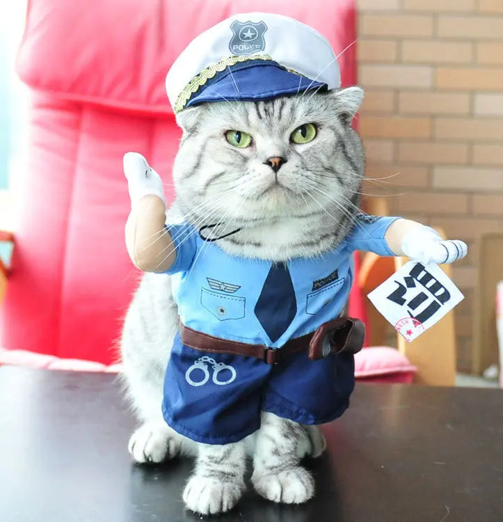 Cute Halloween Costumes for Pets by Zoomies & Co