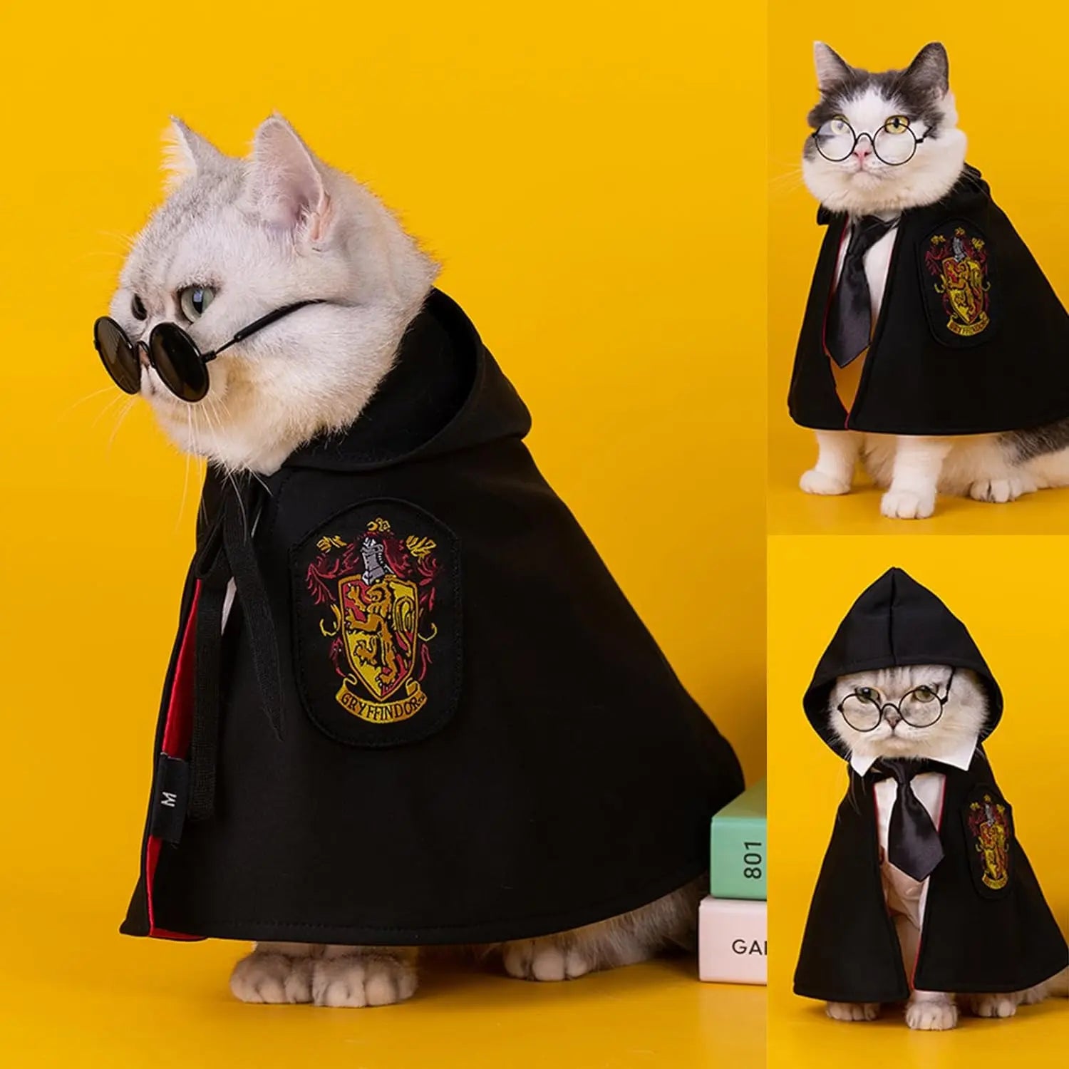 Adorable cat wearing a pet wizard costume cloak with a Gryffindor emblem and stylish glasses
