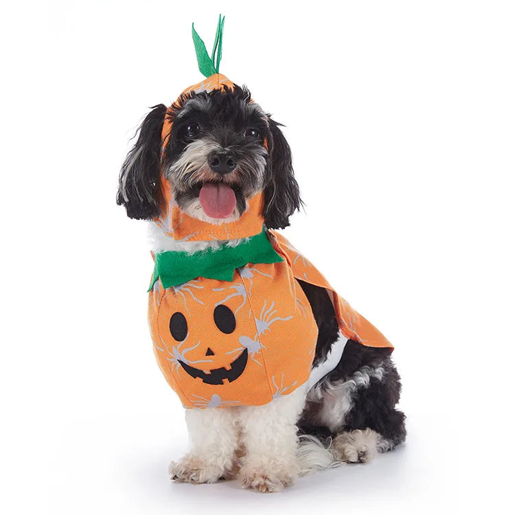 Bat Costume for Dogs - Spooky & Stylish