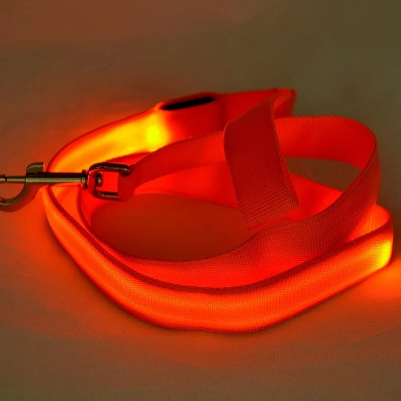 LED Safety Dog Leash