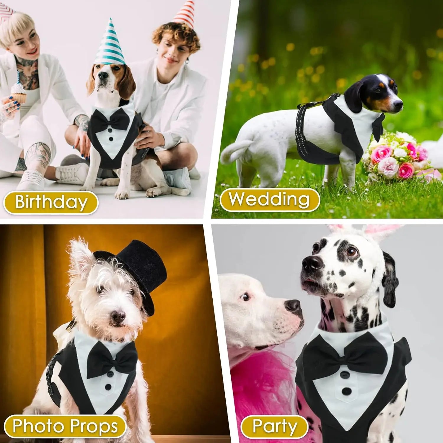 Zoomies & Co dog tuxedo dress set perfect for birthday, wedding, party, and photo props