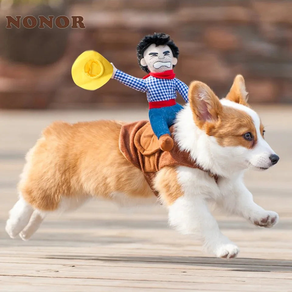 Corgi wearing a cowboy dog costume for Halloween with a plush cowboy figure riding on its back