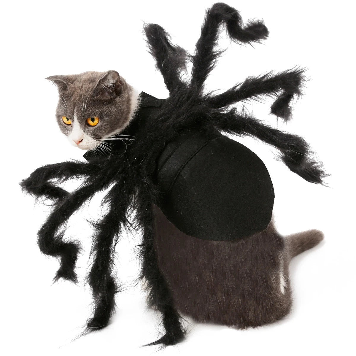 Adorable spider costume for dogs and cats with fluffy black spider legs for Halloween fun
