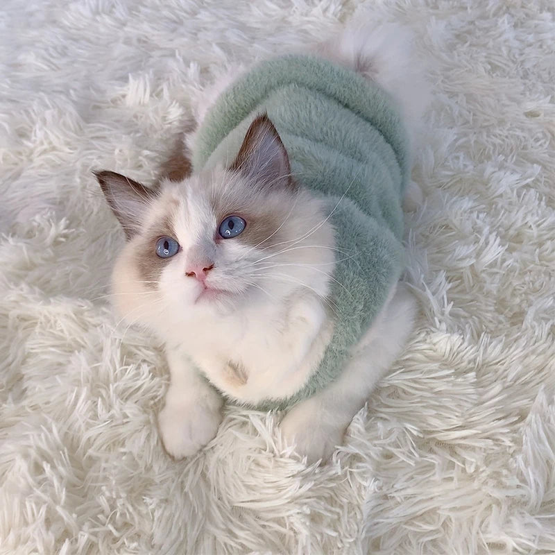 Cute cat wearing a soft fleece cat vest for winter, lounging on a fluffy white surface