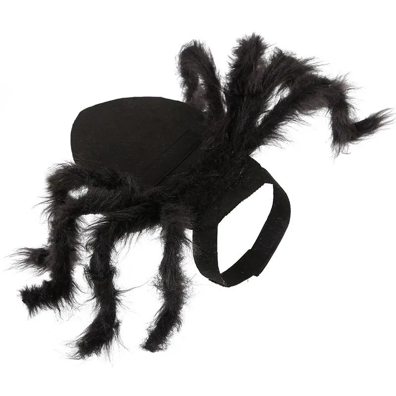 Spider costume for dogs and cats featuring black fluffy legs for Halloween fun
