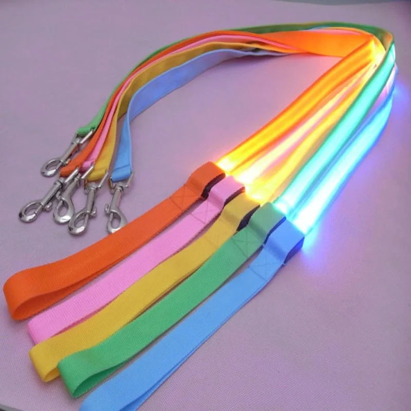 LED Safety Dog Leash