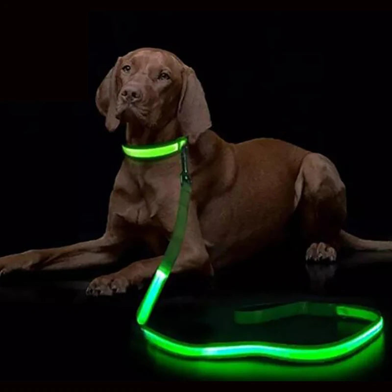 LED Safety Dog Leash