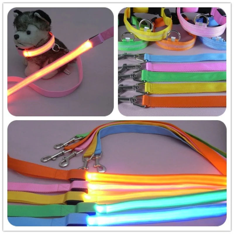 LED Safety Dog Leash