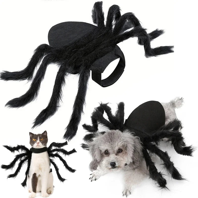 Spider costume for dogs and cats featuring a soft black body and long furry legs