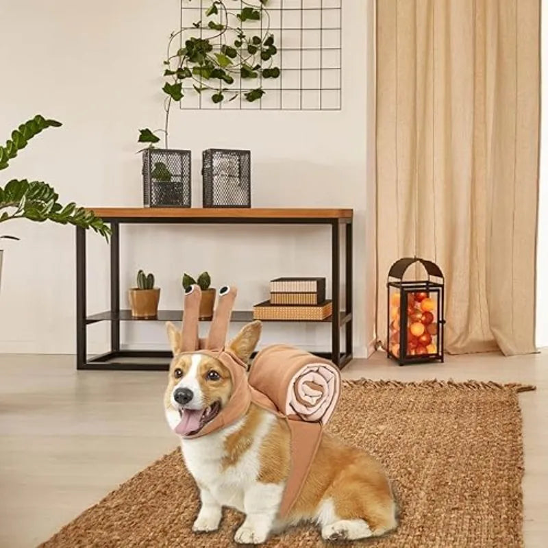 Corgi wearing a Halloween dog snail costume with a detailed shell in a cozy home setting