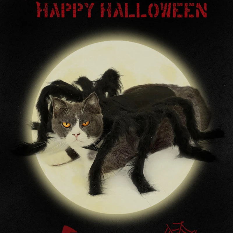 Halloween spider costume for dogs and cats featuring a cute cat with fluffy spider legs