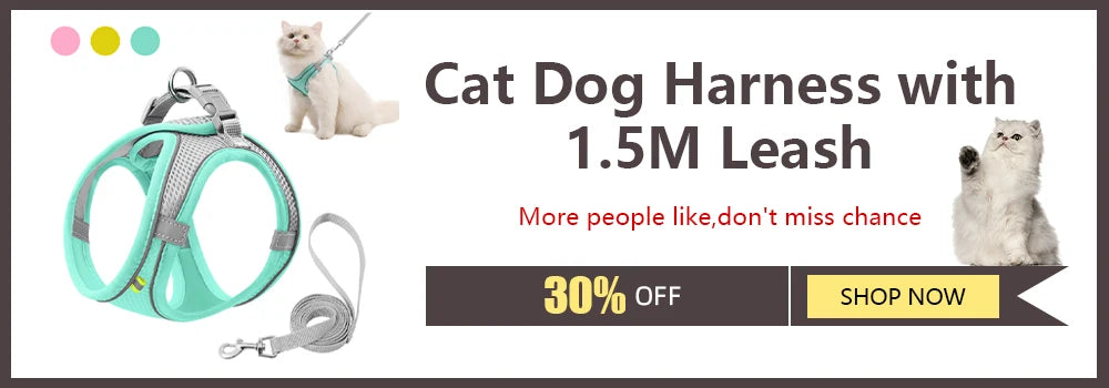 Cat Dog Harness with 1.5M Leash in Teal, ideal for walking pets comfortably and safely