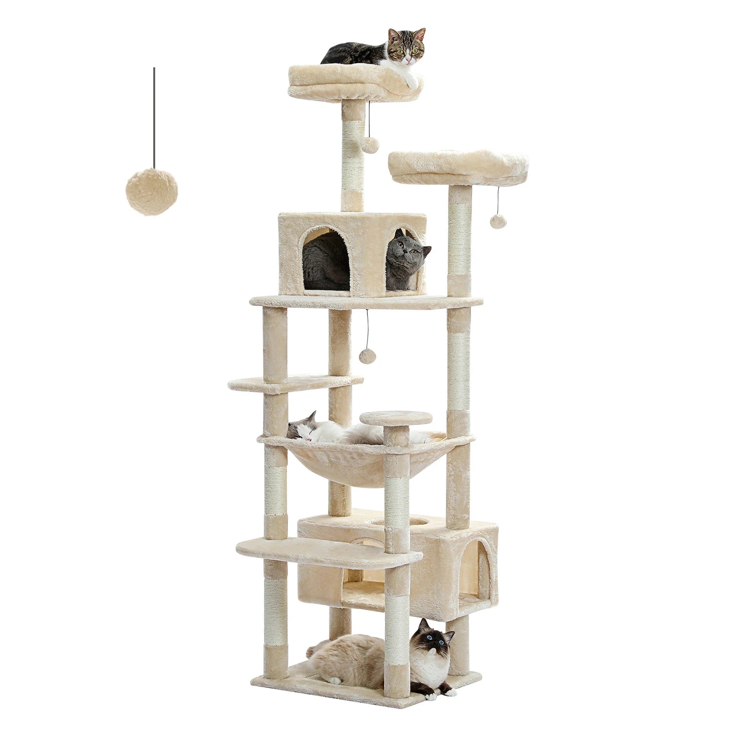 The Deluxe Cat Activity Condo.