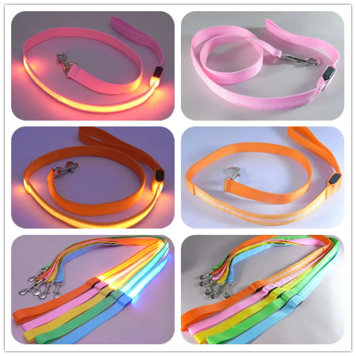 LED Safety Dog Leash