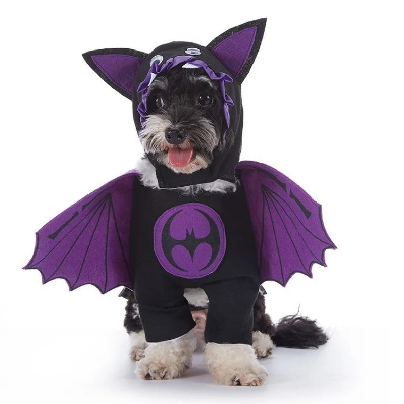 Adorable dog wearing a bat costume for dogs with purple wings and ears for Halloween fun