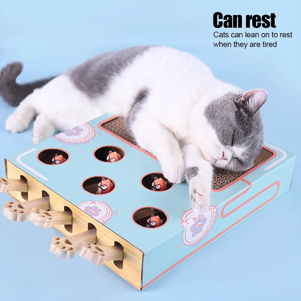 Whack-a-Paw 3-in-1 Interactive Cat Game Box