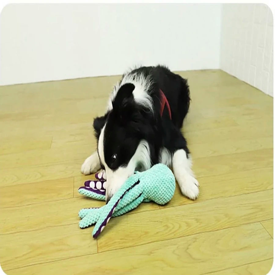 OctoChomp Plush Squeaker Dog Toy