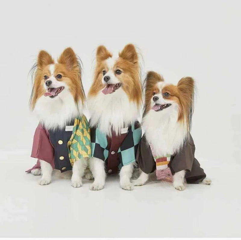 Three dogs wearing colorful Japanese dog kimono costumes, showcasing unique patterns and styles