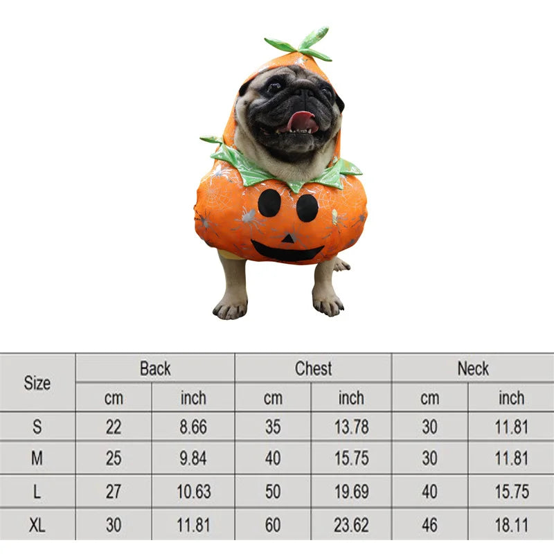 Dog and Cat Halloween Costume Set for Pets