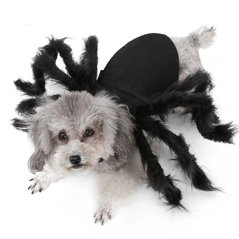 Cute dog in a spider costume for dogs and cats with fluffy legs for Halloween fun