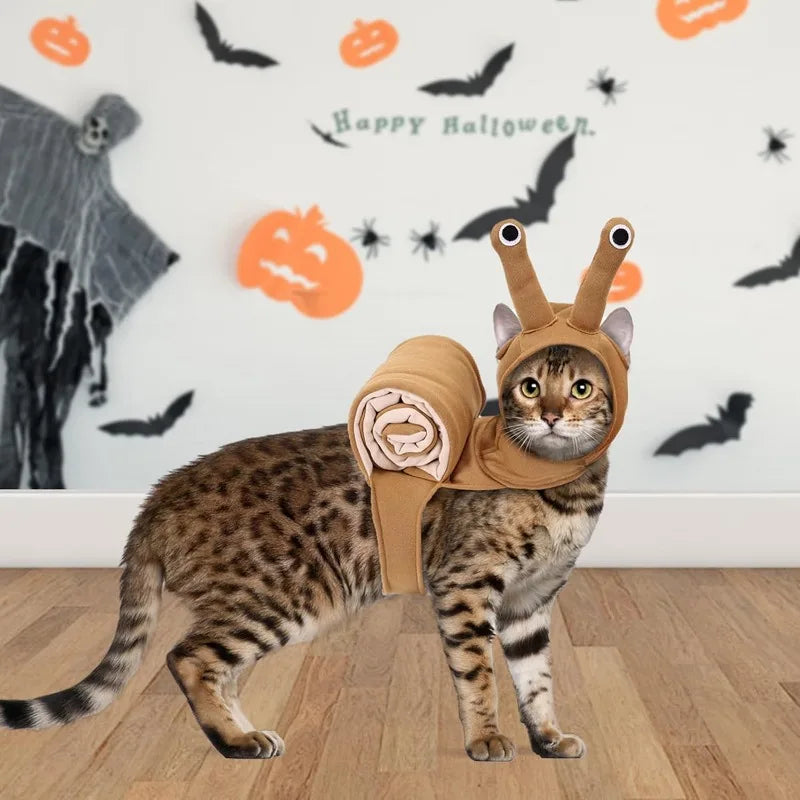 Adorable cat dressed in a Halloween dog snail costume with a light brown wrap and fun eye details