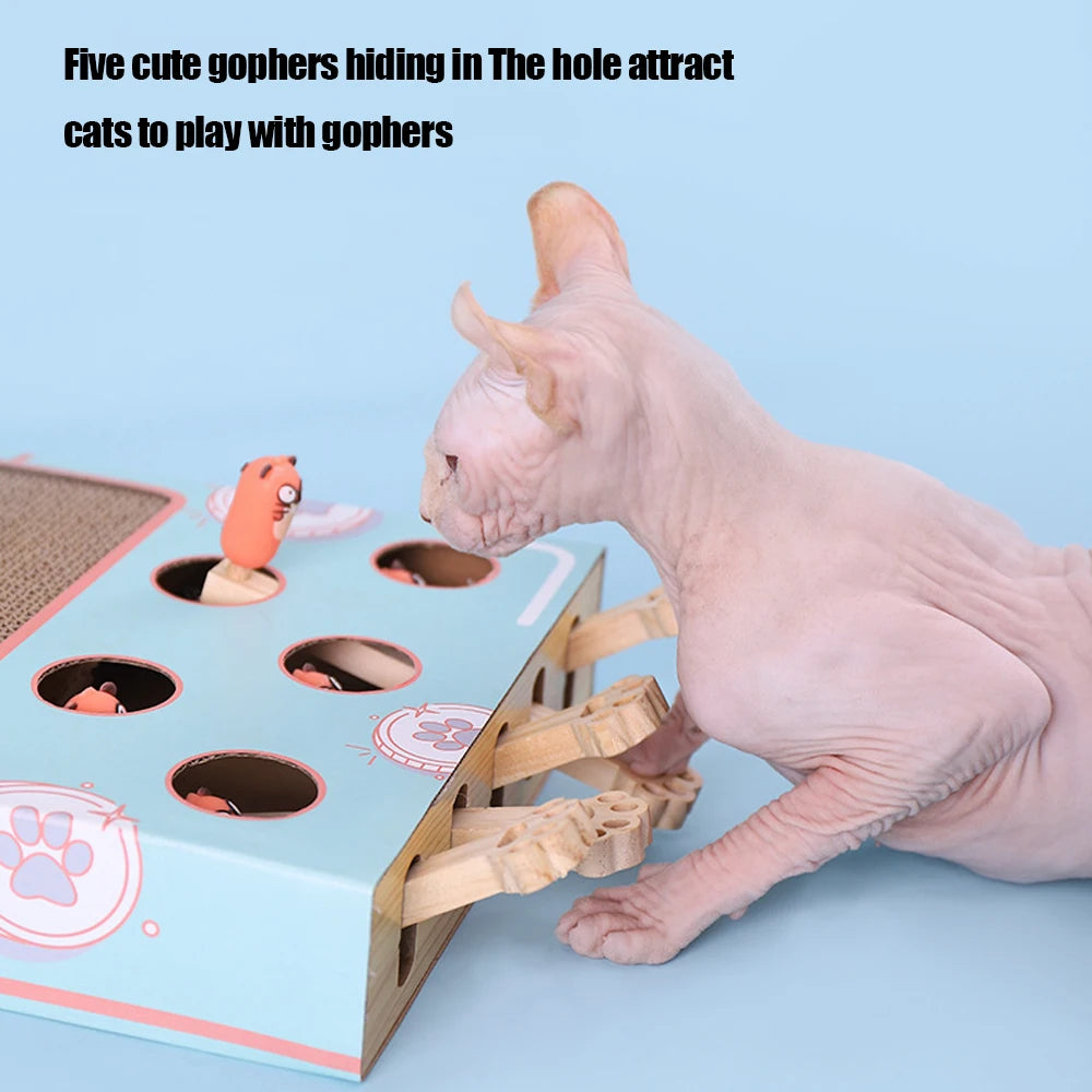 Whack-a-Paw 3-in-1 Interactive Cat Game Box