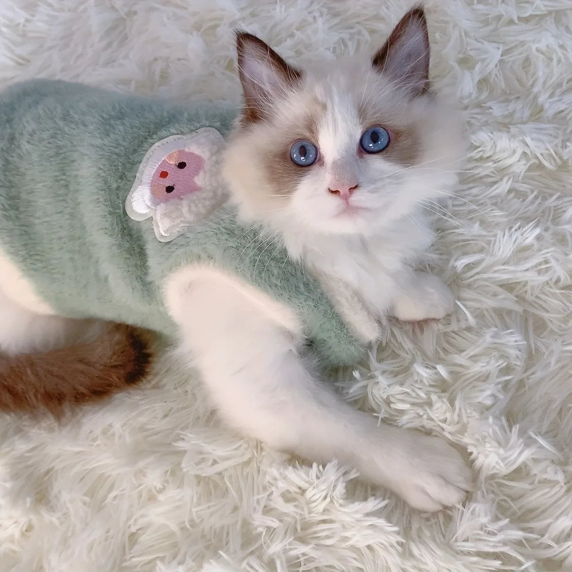 Soft fleece cat vest for winter in mint green, designed for comfort and warmth for pets