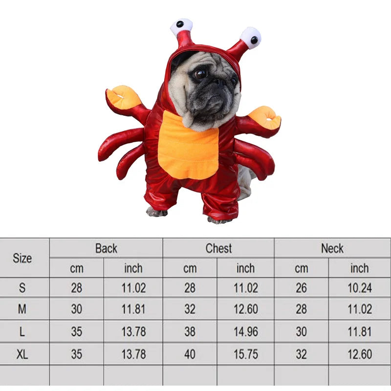 Dog and Cat Halloween Costume Set for Pets