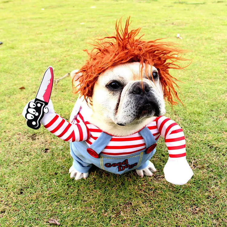Cute Halloween Costumes for Pets by Zoomies & Co