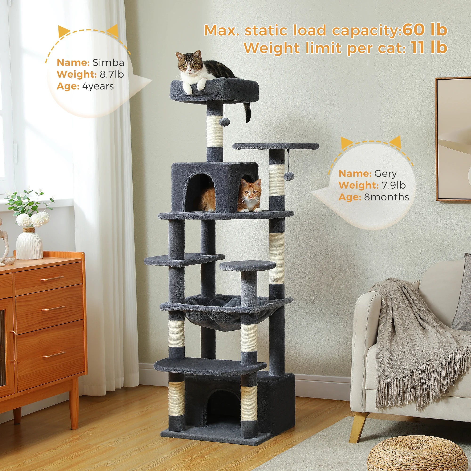 The Deluxe Cat Activity Condo.
