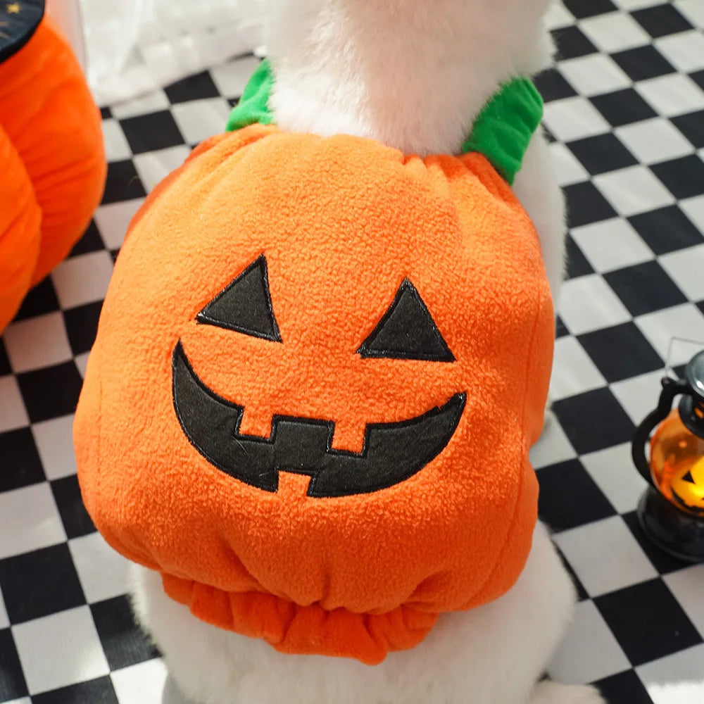 Halloween Pumpkin Dog Costume for Pets