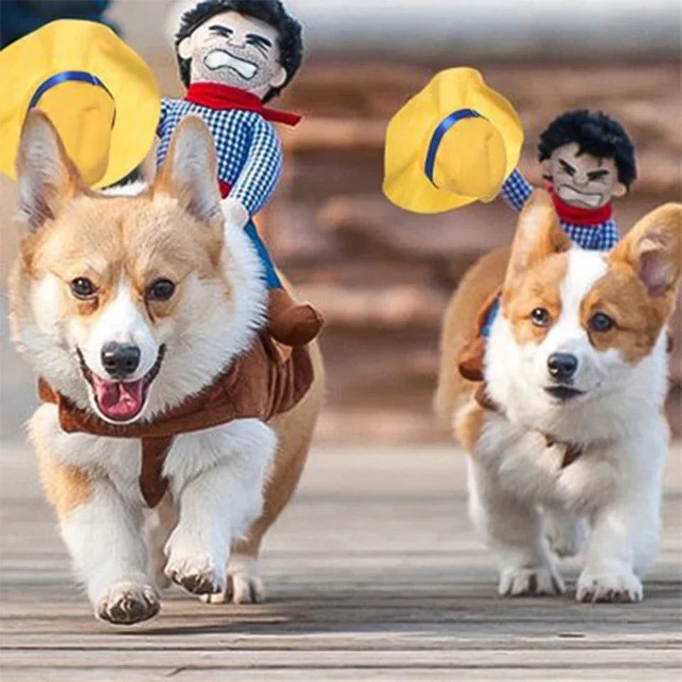 Two dogs wearing a cowboy dog costume for Halloween with playful accessories