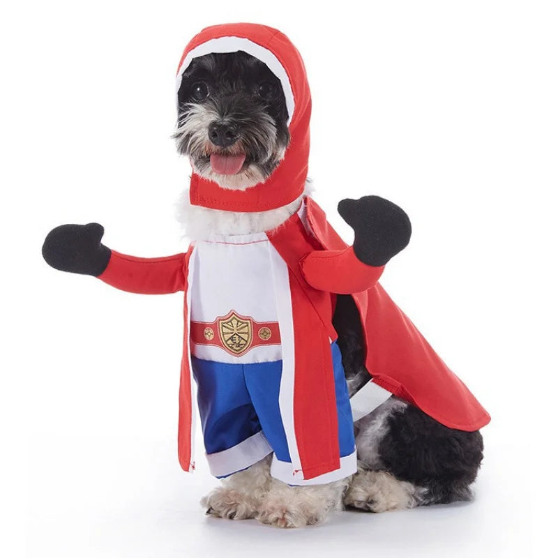 Cute dog dressed in a superhero costume with a cape, perfect for Halloween bat costume for dogs