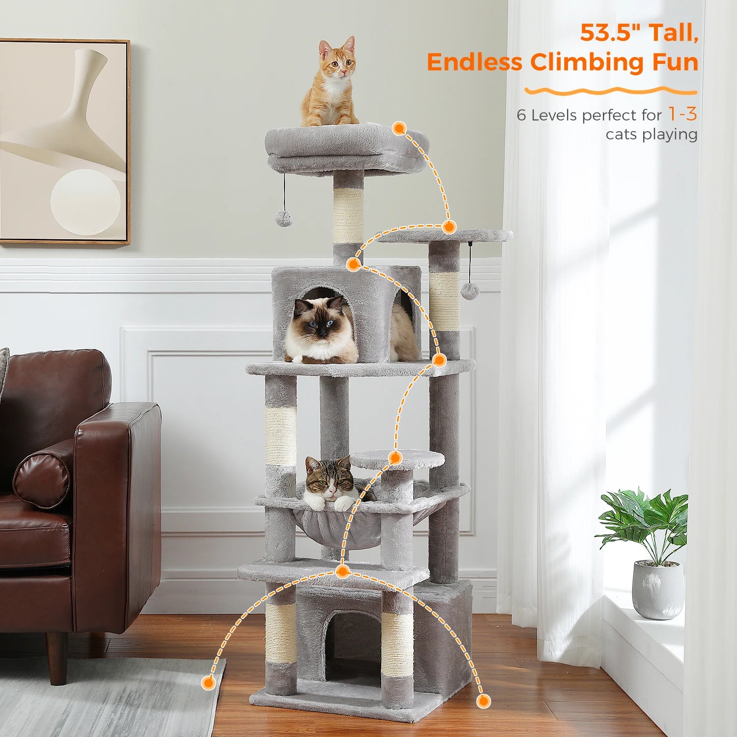 The Deluxe Cat Activity Condo.